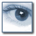 DVR Client Program