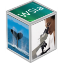 Windows Search index analyzer