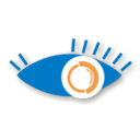 CyeWeb OneChannel