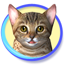 Petz Catz
