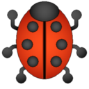 Bug Shooting