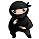 System Ninja