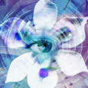 Blue Iris ActiveX Control