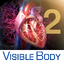 3D Heart and Circulatory Premium