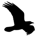 Raven Pro