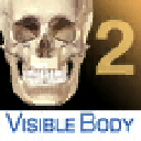 Skeleton Premium 2