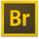 Adobe Flash Player Plugin non-IE