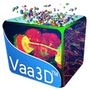 Vaa3D-3.100