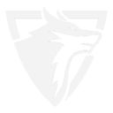Tycoon™ VPN