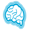 Excellent Brain – Free Bird Attention Game –