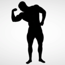 Anatomy 360 Male Body Builder