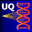 UltraQuant