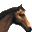 Stable Masters 2