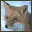 FOXnet® Configuration Utility