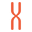 Xkey Plus