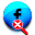 Facebook Password Remover