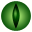Pet Eye Pilot