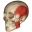 Anomalous Medical