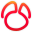 Navicat for Oracle