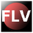 Winner FLV Video Converter