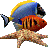 Marine Aquarium - Installer