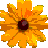 SimpleSpa Professional