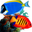 Tropical Fish 3D Screensaver and Animated Wallpaper