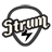 Strum Electric GS-1