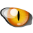 AutoScan Network