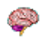 Neuronics