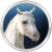 3Planesoft Fog Horses 3D Screensaver