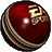 EA SPORTS (TM) Cricket