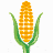 AGROCOM NET