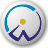 CaseWare Working Papers 2004