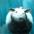 Running Sheep for Windows 8