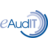 KPMG eAudIT Adobe Plugin