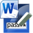 Word Password Recovery Lastic