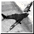Microsoft Combat Flight Simulator
