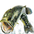 Trophy Bass 2