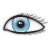GazeRecorder