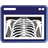 InSight Web