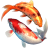Koi Fish 3D Screensaver and Animated Wallpaper