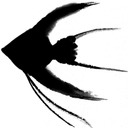 Scalare