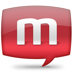 Netviewer Meet