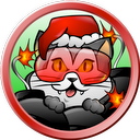 Bomber Cat Holiday
