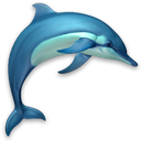 Dolphins 3D