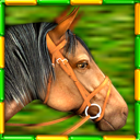 Gallop for Gold Slots for Mac