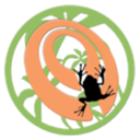 NodeToad