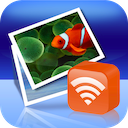 Wireless Transfer App