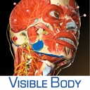 3D Muscle Premium 2